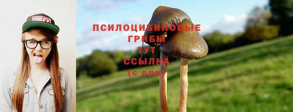 дживик Алексин