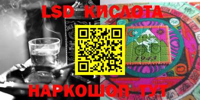 стафф Гудермес