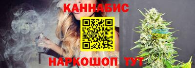 стафф Гудермес