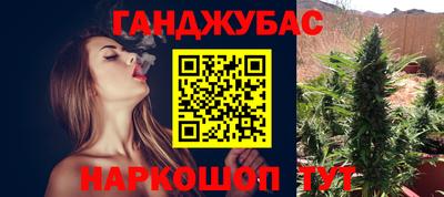 стафф Гудермес