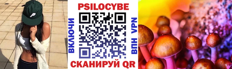 ОМГ ОМГ маркетплейс  Киржач  Псилоцибиновые грибы Magic Shrooms 