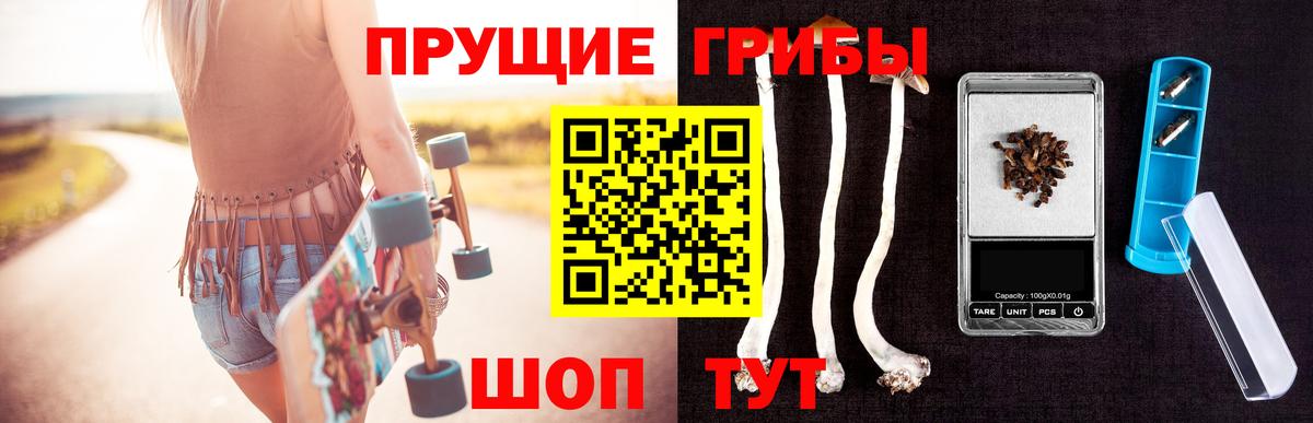где продают наркотики  Псилоцибиновые грибы Psilocybe  Вход с VPN  Киржач  Галлюциногенные грибы ЛСД 